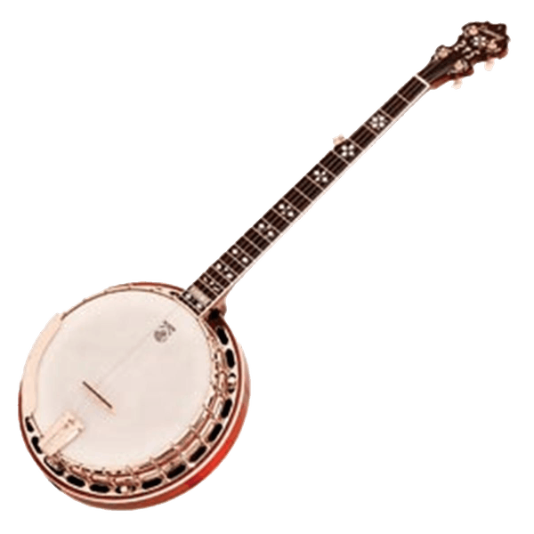 Vijf snarige banjo